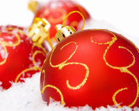 ���� �����������