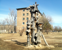 ���� �����������