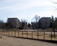 ���� �����������