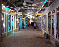 ���� �����������